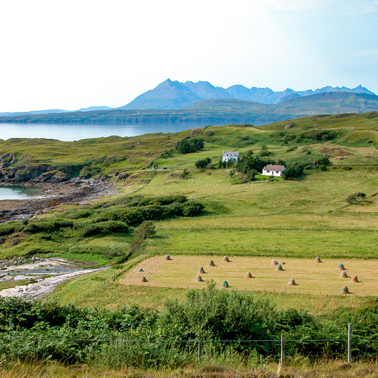 Tarskavaig : gathered hay Tarskavaig : gathered hay